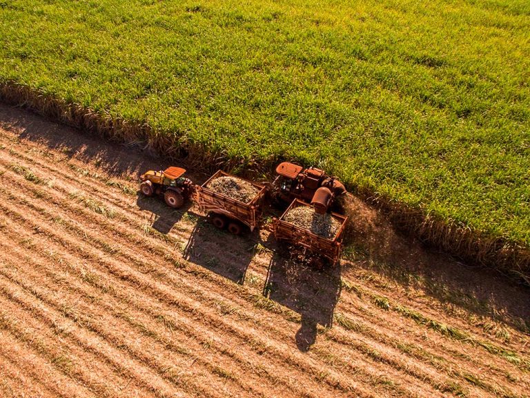 Moagem de cana-de-açúcar no Norte-Nordeste supera 52 milhões de toneladas