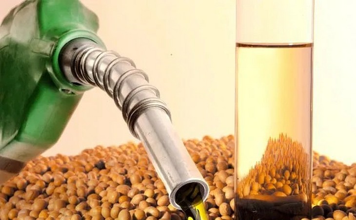 Indústria de biodiesel elevará demanda por soja em 28%