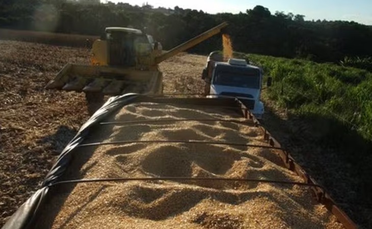 Com produção de etanol de milho em alta, Brasil dobra exportações de DDG