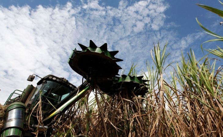 Goiás deverá moer 79 milhões de toneladas de cana na safra 2024/25, projeta SCA