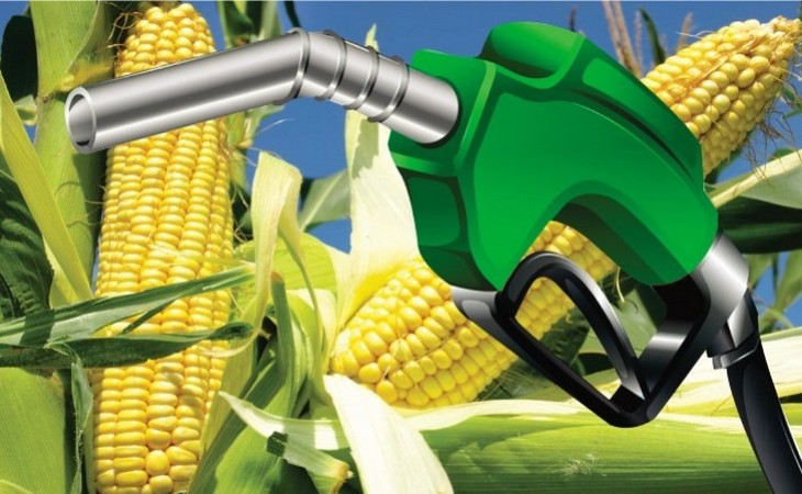 “Milho contribuiu para aumentar produção de etanol no Brasil”