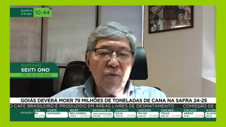 Goiás deverá moer 79 milhões de toneladas de cana na safra 24/25