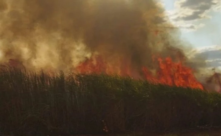 Incêndios em lavouras de cana de SP causam prejuízo superior a R$ 350 mi