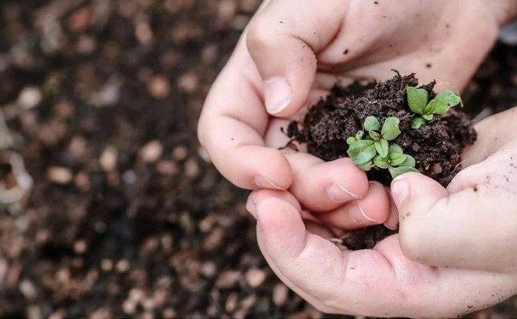 O papel do fertilizante na transição energética e segurança alimentar