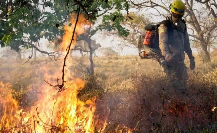 Incêndios causaram R$ 181,71 milhões em prejuízo a produção agrícola de Goiás