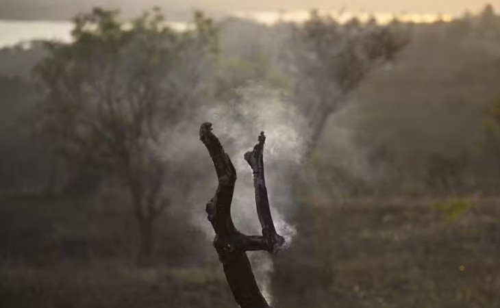 Seca e fogo preocupam produtores brasileiros