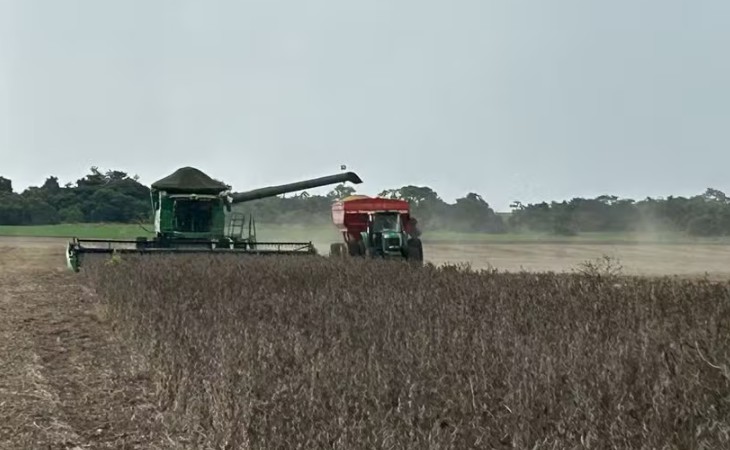 Produtor rural dobrou pedidos de recuperação judicial no segundo trimestre