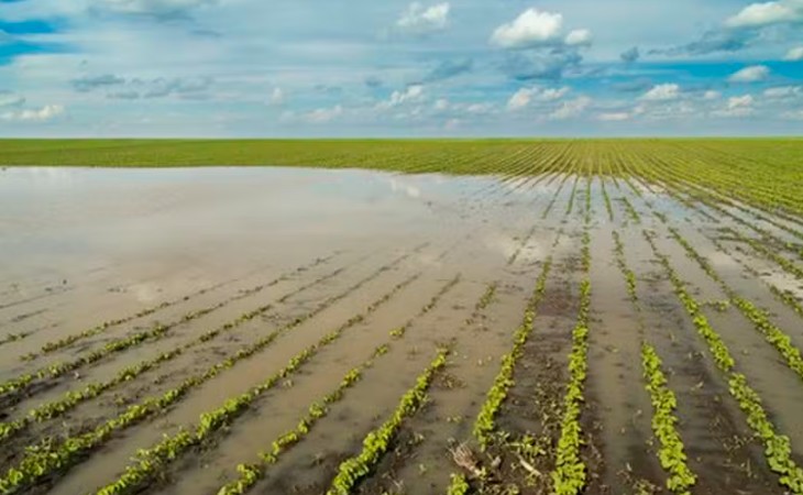 Clima adverso eleva procura por seguro rural em áreas onde havia menos adesão