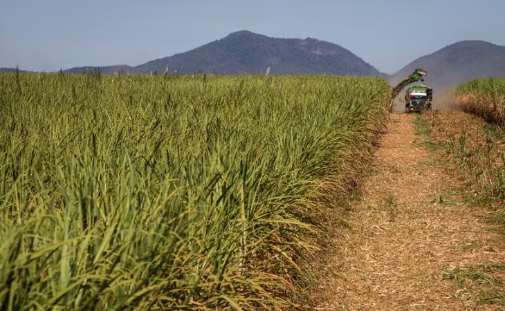 Aprovação das regras do mercado de carbono anima produtores de cana-de-açúcar