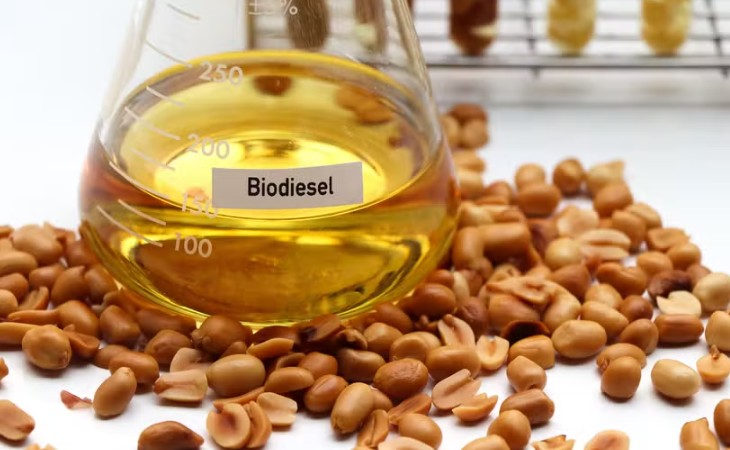 Crescimento do mercado de biodiesel: Desafio para os produtores em 2025