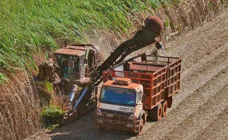 Biotecnologia tem mercado propício com demanda de etanol aquecida