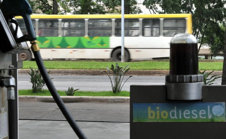 Novo Biodiesel B15: problema está na cadeia logística, alerta especialista