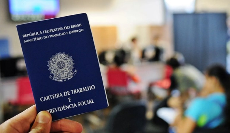 O mercado de trabalho na cadeia produtiva da soja e do biodiesel