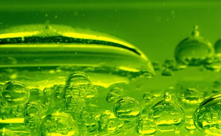A cadeia produtiva dos biocombustíveis na transição energética