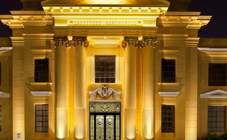 Instituto Agronômico (IAC) completa 138 anos com produtos inéditos