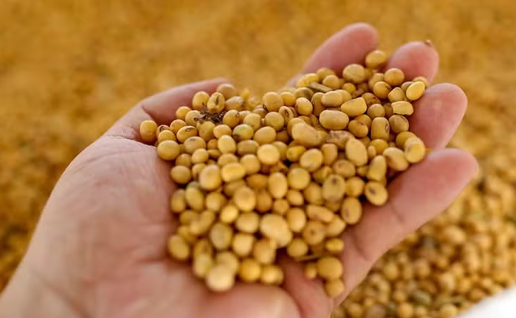 Safra nova, adoção de biodiesel e guerra comercial determinarão preço da soja