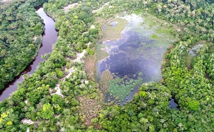 Usina Coruripe vai usar reserva particular para gerar crédito de carbono