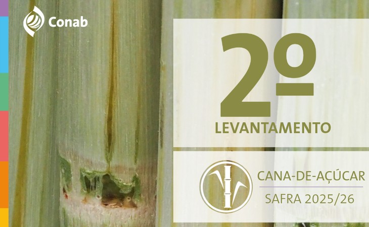 Produção de cana-de-açúcar na safra 2025-2026 é atualizada para 668,8 milhões de toneladas