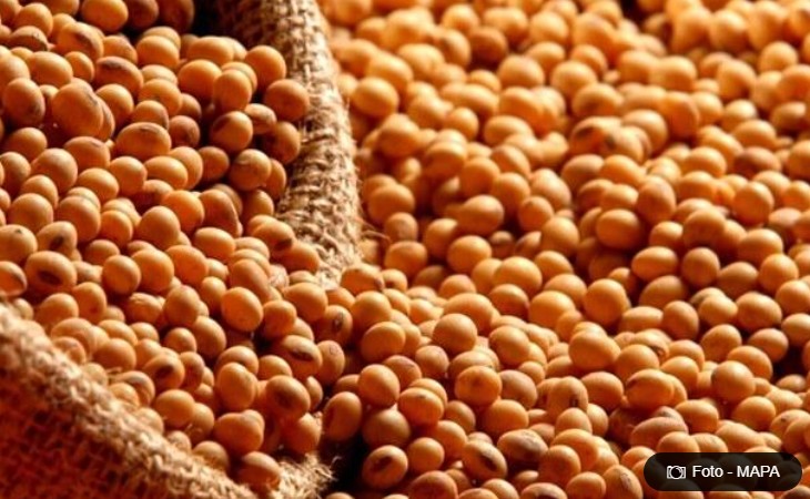 Margem de processamento da soja em MT sobe quase 14% impulsionada por óleo e demanda de biodiesel