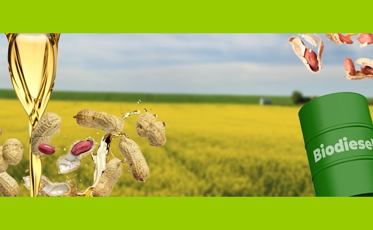 Indústria do biodiesel sustenta alta e atinge maior margem no histórico