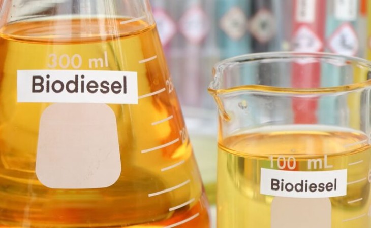 Biodiesel alcança maior crescimento em 8 anos e movimenta R$ 17,8 bilhões em 2025