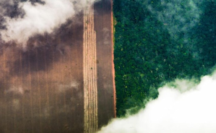 Brasil pode expandir biocombustíveis sem desmatar, mostra estudo