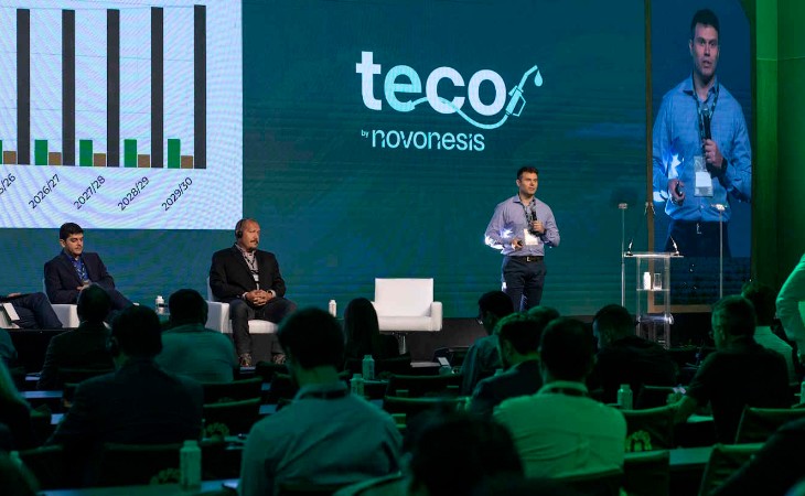 Variedades de sorgo com maior teor de amido trazem competitividade para usinas