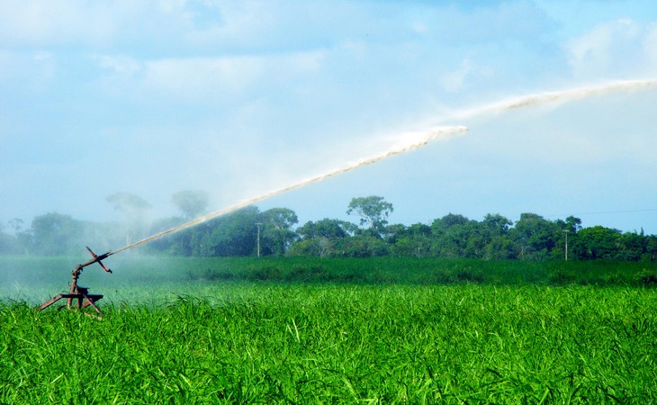 Irrigação surge como estratégia para minimizar impactos das queimadas nos canaviais