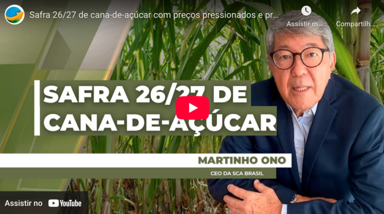 SCA no Notícias Agrícolas: safra de cana 2026-27 chega com preços do açúcar pressionados e tendência mais alcooleira