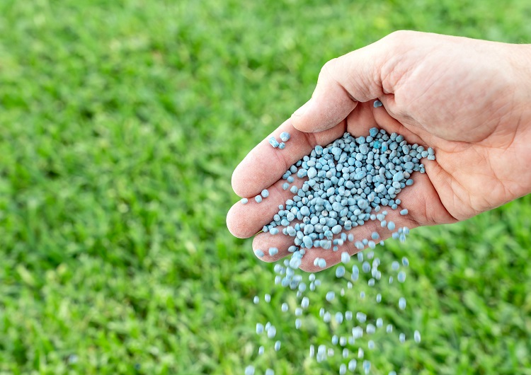 Fertilizantes seguem sob pressão