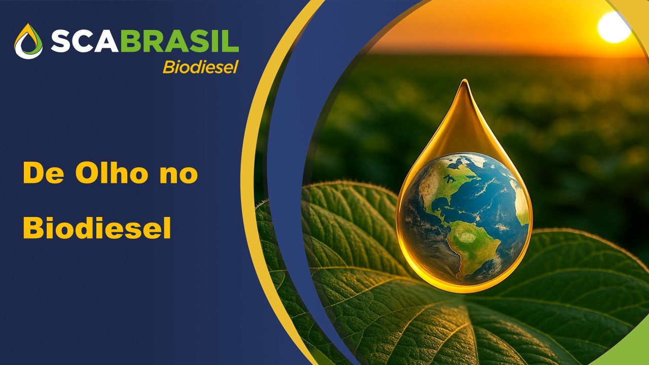 Petróleo dita o ritmo e sustenta óleos vegetais em semana de elevada volatilidade