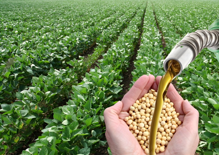 Biodiesel fecha um dos maiores volumes já registrados no Brasil