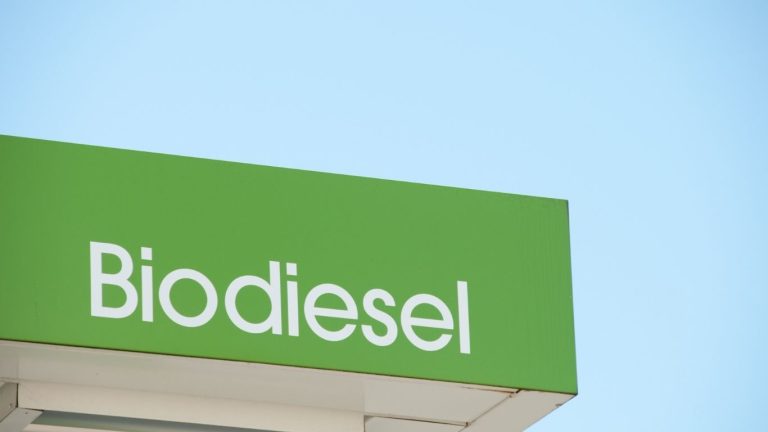 Mato Grosso dispara no biodiesel e atinge recorde histórico no Brasil