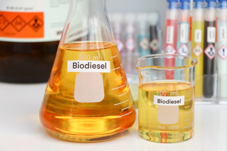 Demanda por biodiesel acelera e mercado volta a ficar apertado no Brasil