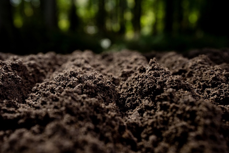Fertilizante feito de resíduos pode cortar dependência externa