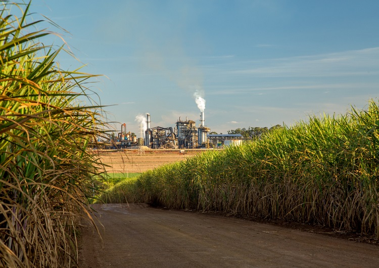 Norte e Nordeste ampliam foco no etanol e reduzem produção de açúcar