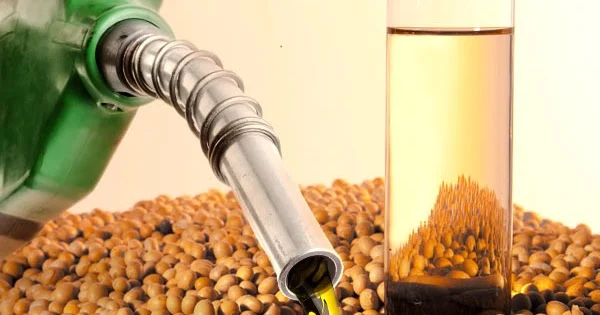 B16: governo admite que testes só terminam em 2027 e acende alerta no setor de biodiesel