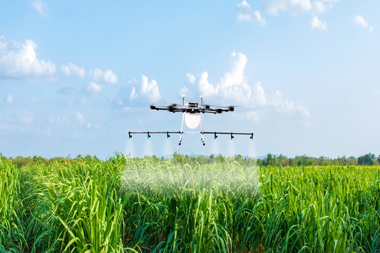Drones revolucionam controle da broca na cana e reduzem defensivos