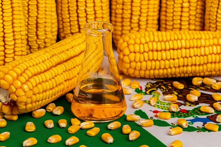 Etanol de milho impulsiona safra recorde de biocombustíveis no Brasil