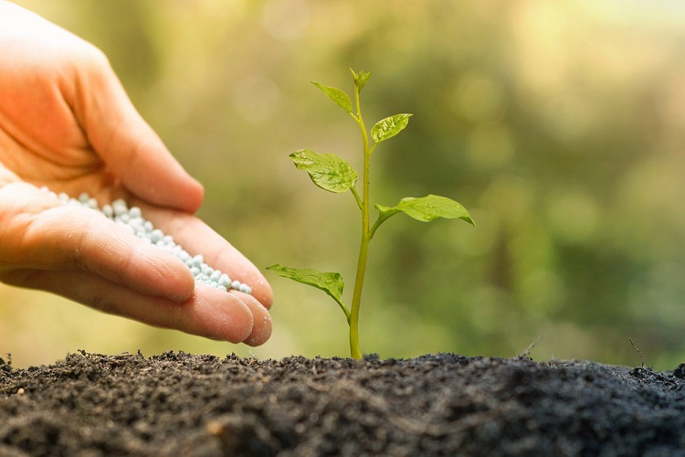 Bioinsumos viram reserva estratégica do agro em meio à guerra e alta dos fertilizantes