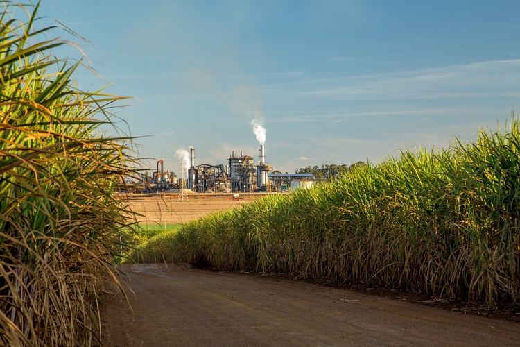 Setor sucroenergético reage aos EUA e defende etanol