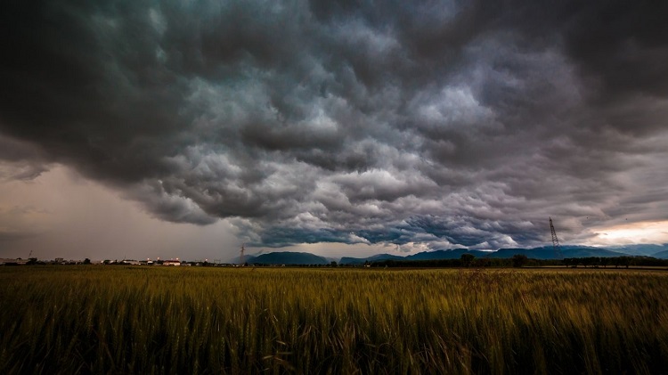 Temporais afetam lavouras, estradas e elevam alerta no Sul do Brasil