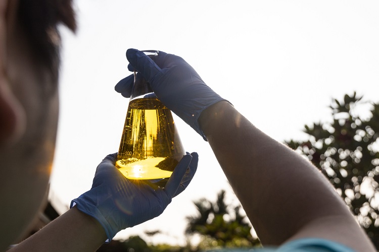 Etanol de cereais deve bater recorde e acelerar bioenergia no Brasil