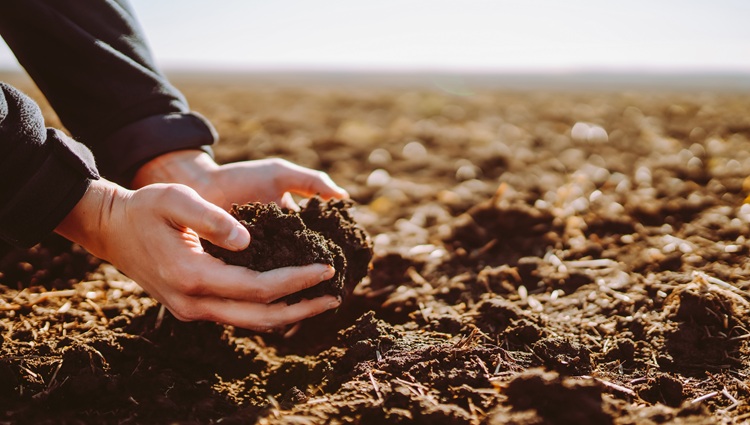 Terraceamento reduz perdas de fertilizantes e protege produtividade