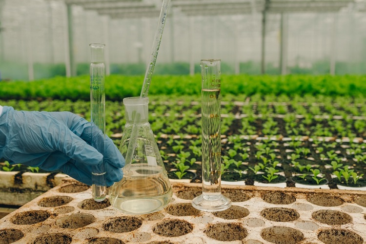 Bioinsumos ganham força como resposta à dependência externa do agro
