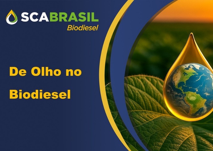 Diesel segue pressionado, biodiesel supera R$ 5.600/m³ e óleos vegetais mostram sinais divergentes